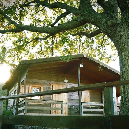 Agriturismo Kikajon Linguaglossa Kültér fotó
