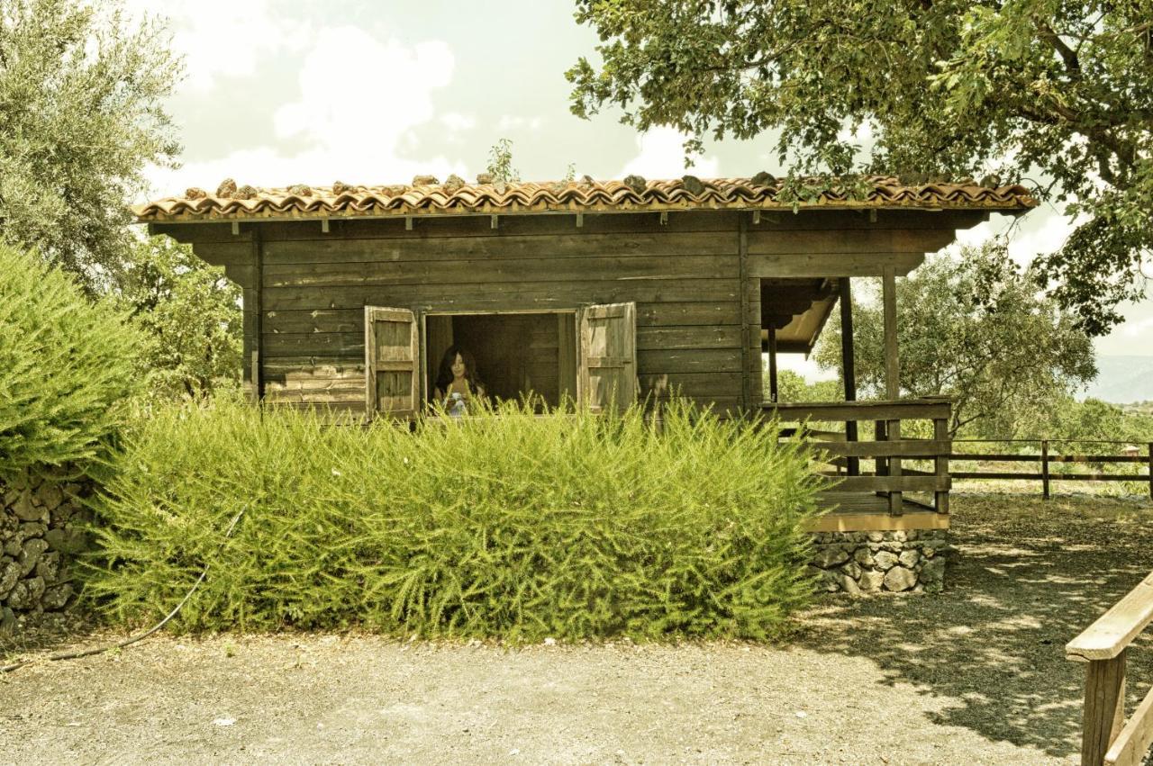 Agriturismo Kikajon Linguaglossa Kültér fotó