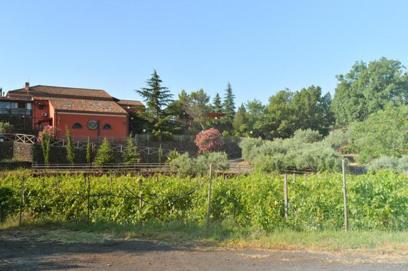 Agriturismo Kikajon Linguaglossa Kültér fotó