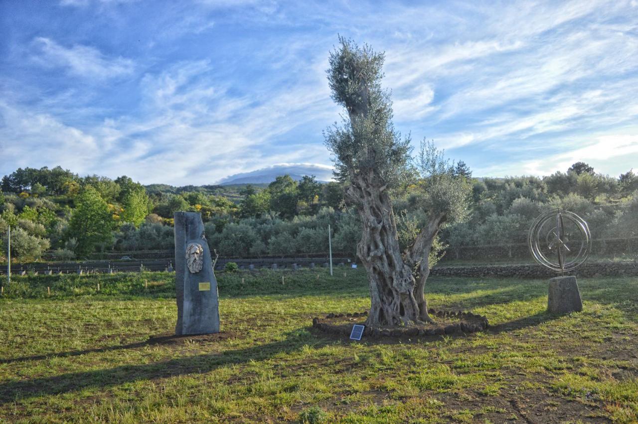 Agriturismo Kikajon Linguaglossa Kültér fotó