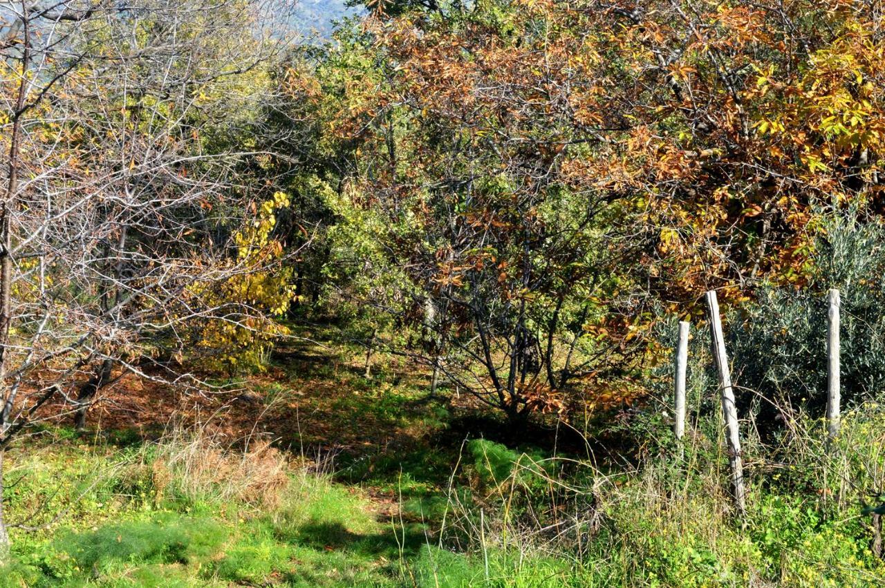 Agriturismo Kikajon Linguaglossa Kültér fotó