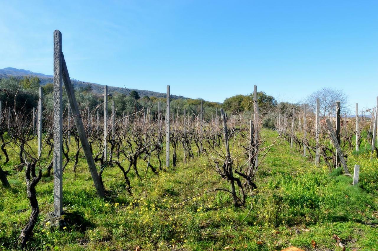 Agriturismo Kikajon Linguaglossa Kültér fotó