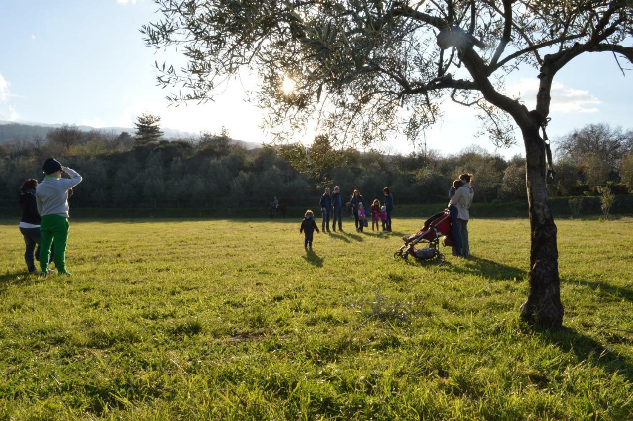 Agriturismo Kikajon Linguaglossa Kültér fotó