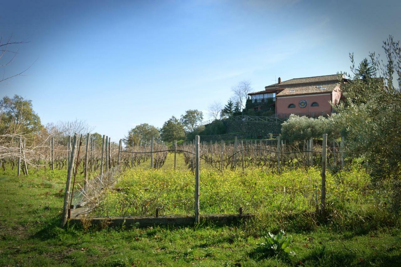 Agriturismo Kikajon Linguaglossa Kültér fotó